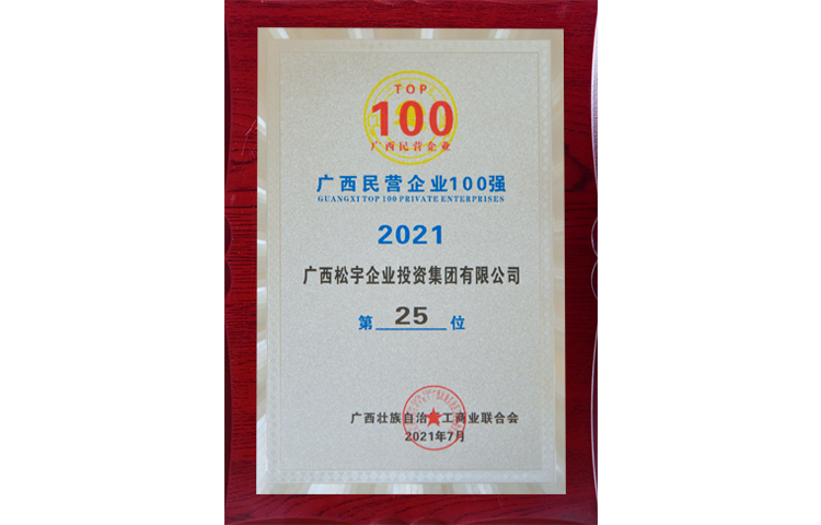 廣西民營企業(yè)100強(qiáng)第25位