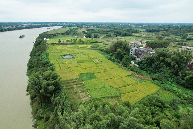 項(xiàng)目實(shí)景圖